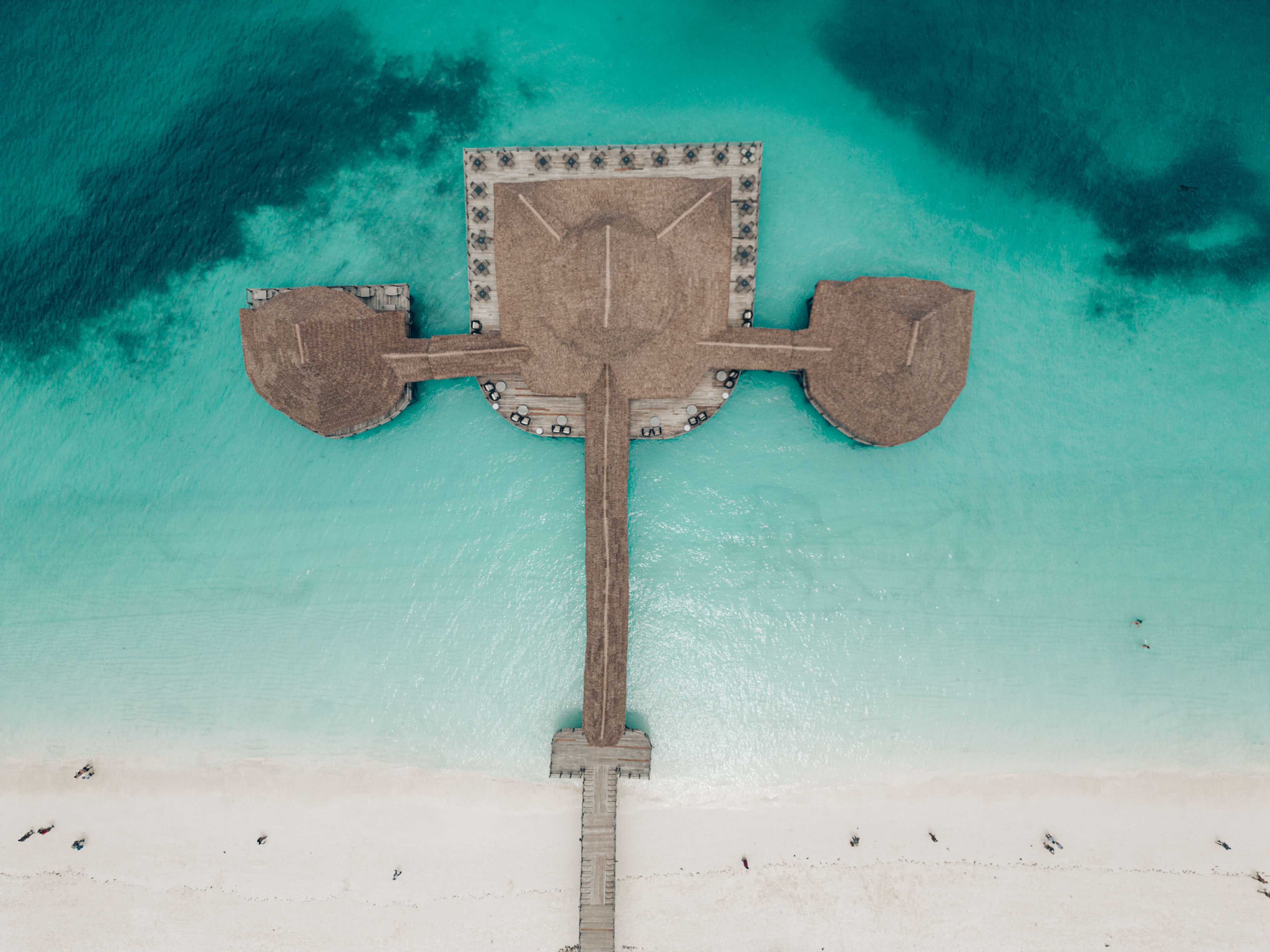 Mnemba Island Snorkeling