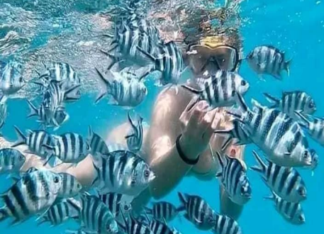Snorkeling At Pungume Island